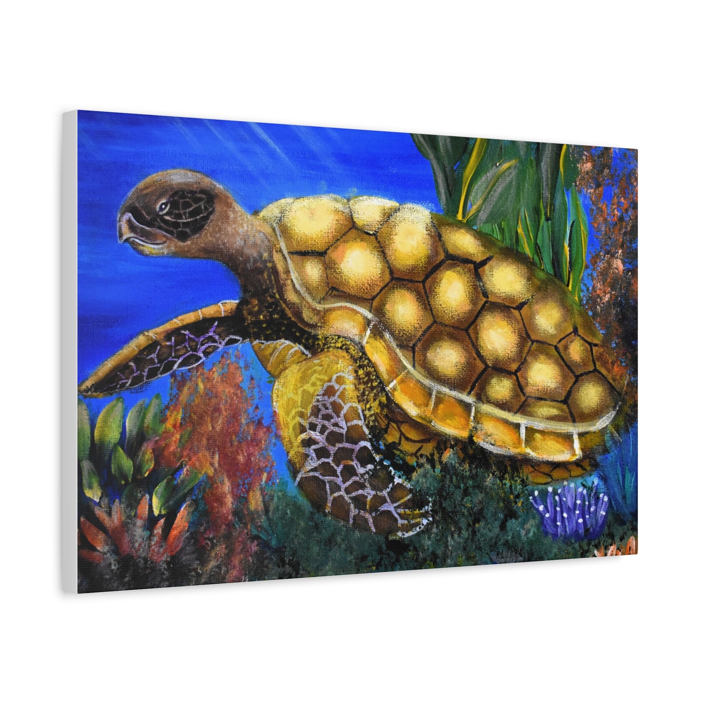 Sea Turtle Canvas Print — Matte Stretched Wall Art (1.25")