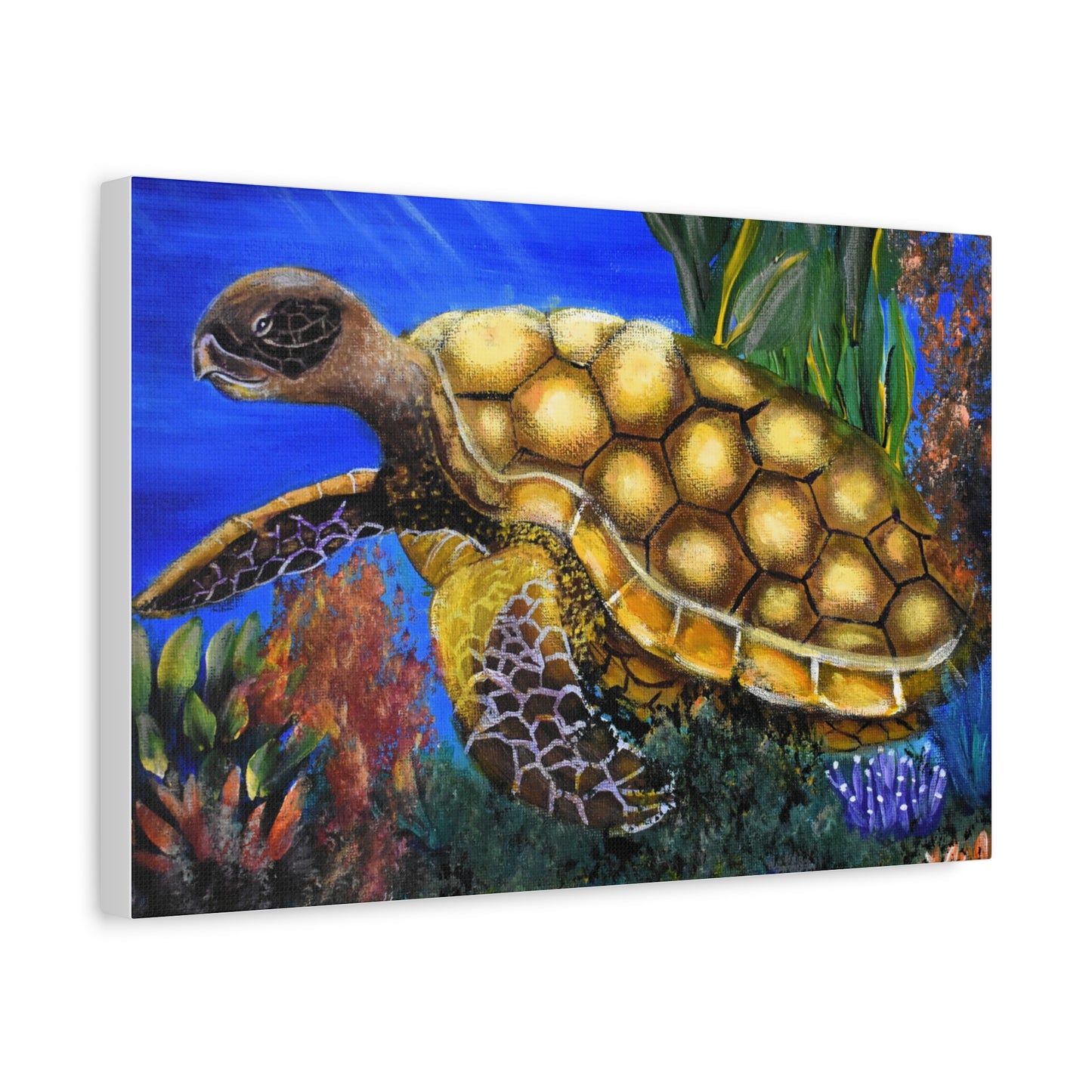 Sea Turtle Canvas Print — Matte Stretched Wall Art (1.25")