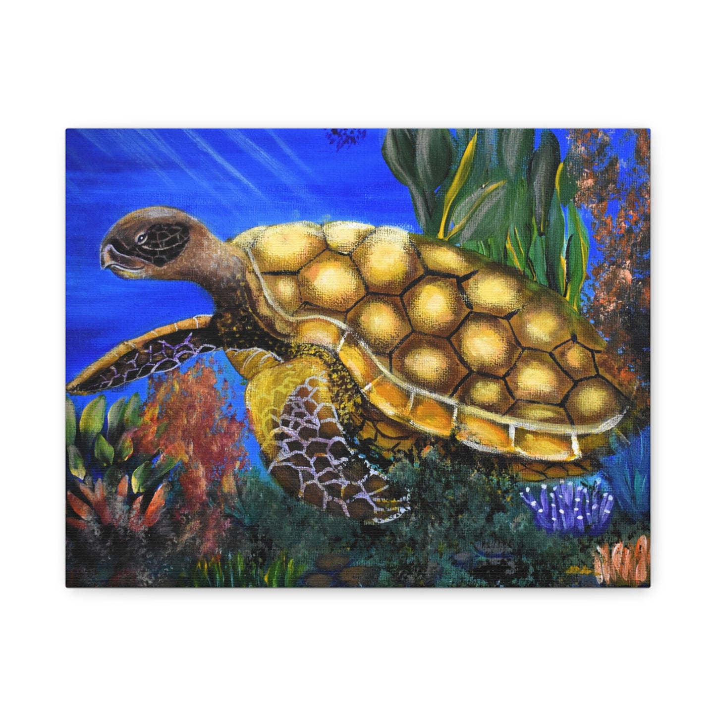 Sea Turtle Canvas Print — Matte Stretched Wall Art (1.25")