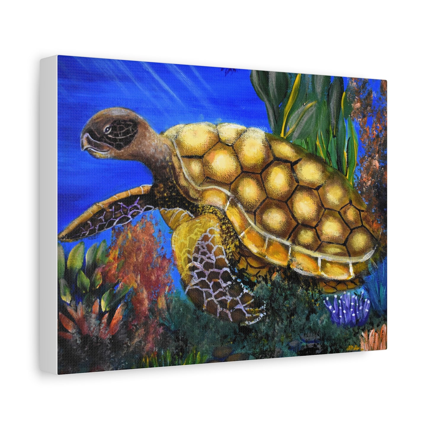 Sea Turtle Canvas Print — Matte Stretched Wall Art (1.25")