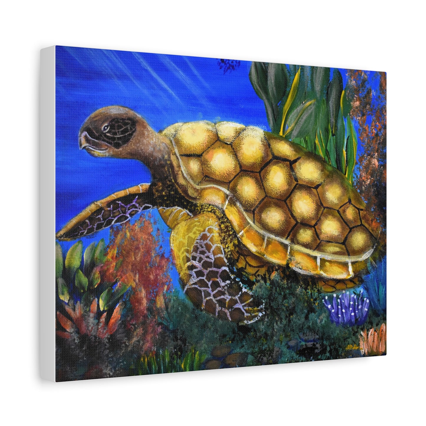 Sea Turtle Canvas Print — Matte Stretched Wall Art (1.25")