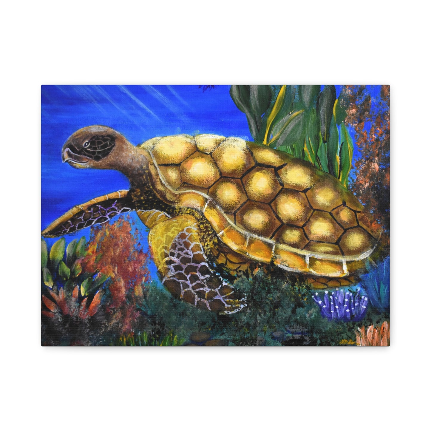 Sea Turtle Canvas Print — Matte Stretched Wall Art (1.25")