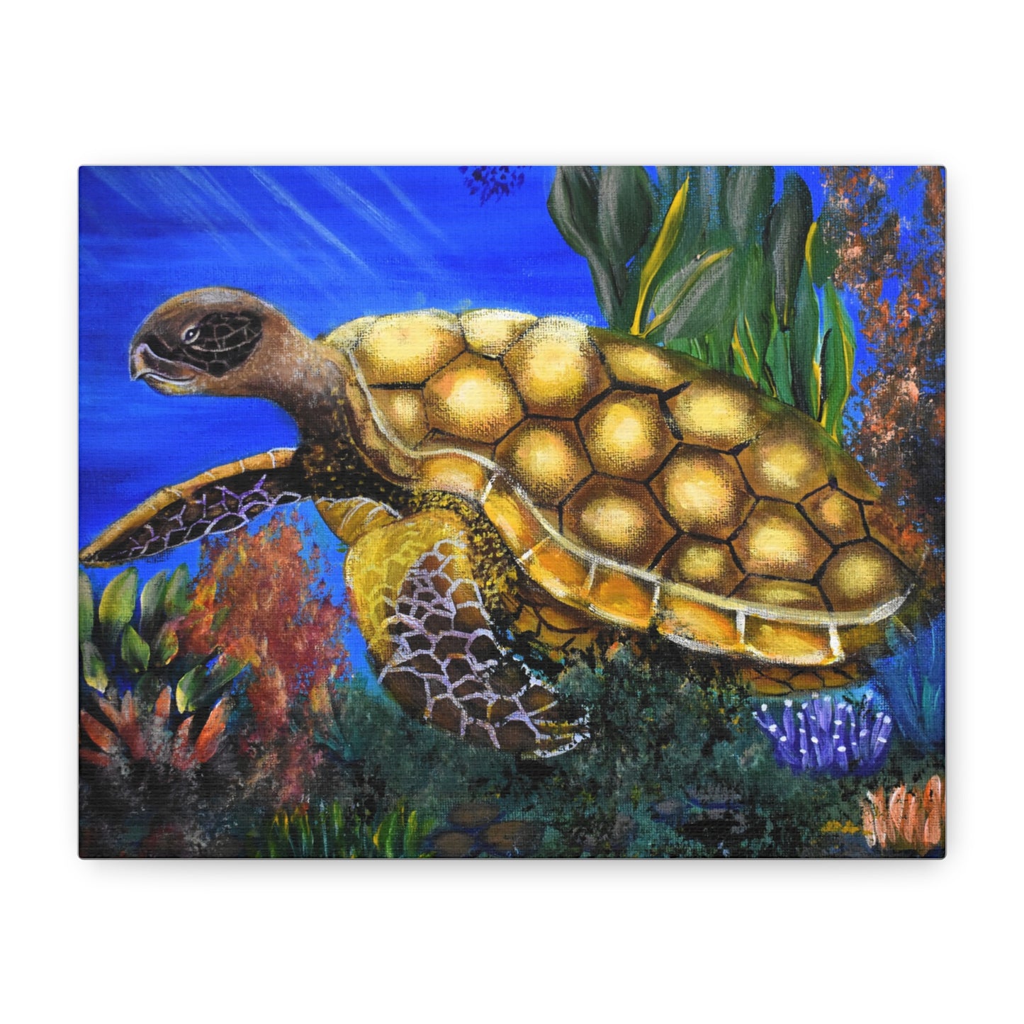 Sea Turtle Canvas Print — Matte Stretched Wall Art (1.25")