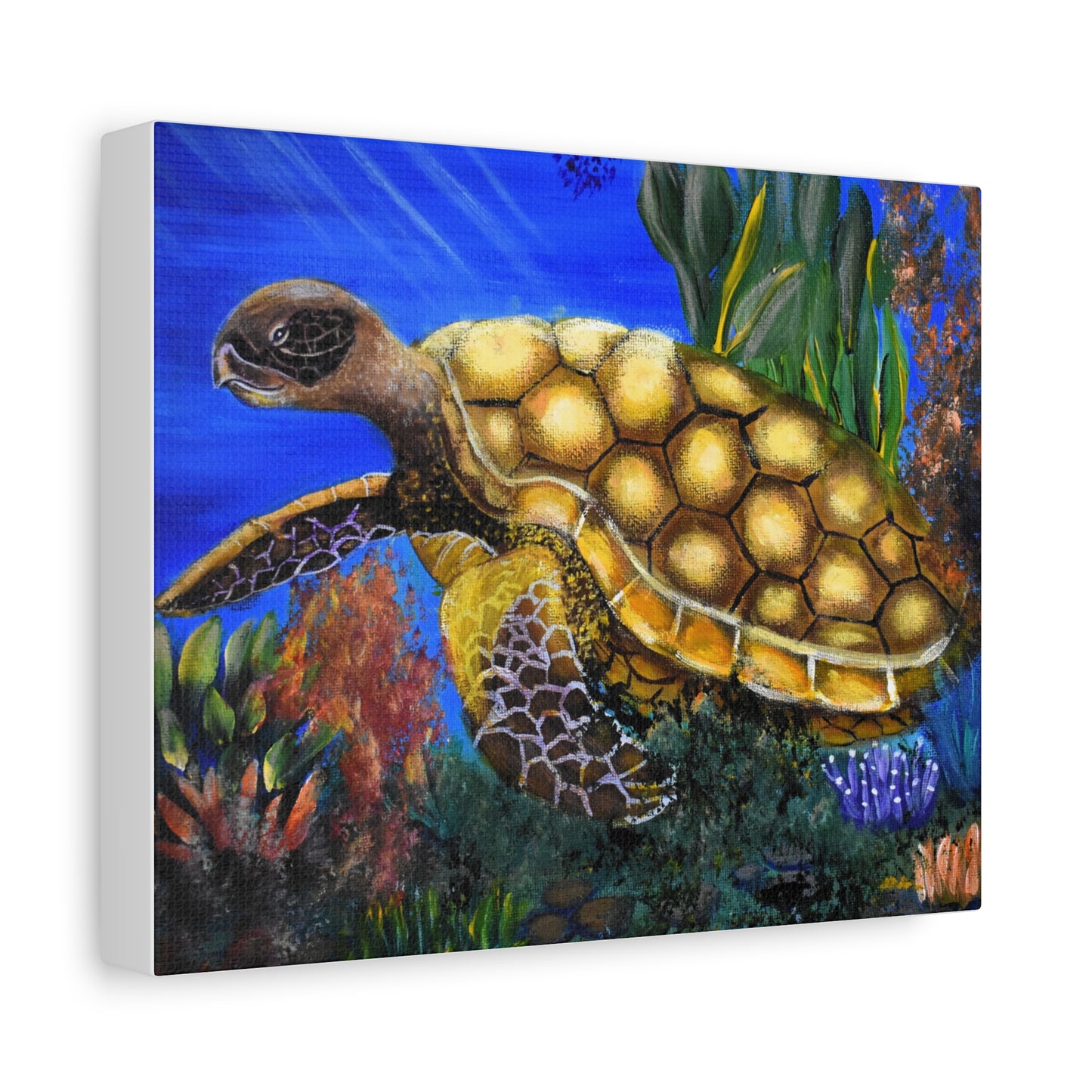 Sea Turtle Canvas Print — Matte Stretched Wall Art (1.25")