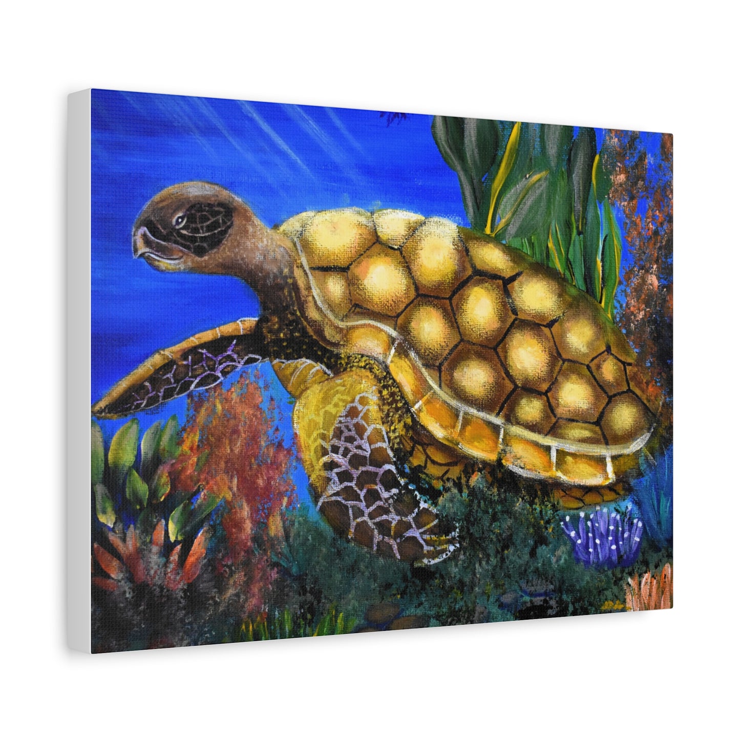 Sea Turtle Canvas Print — Matte Stretched Wall Art (1.25")