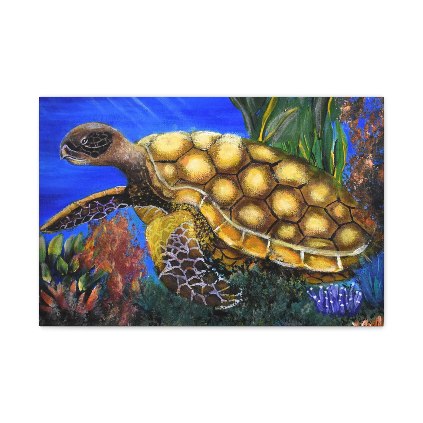 Sea Turtle Canvas Print — Matte Stretched Wall Art (1.25")